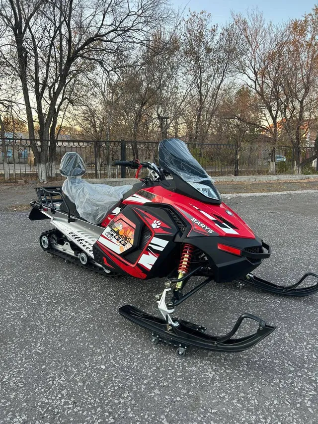 Barys 500 EFI — купить с доставкой по России