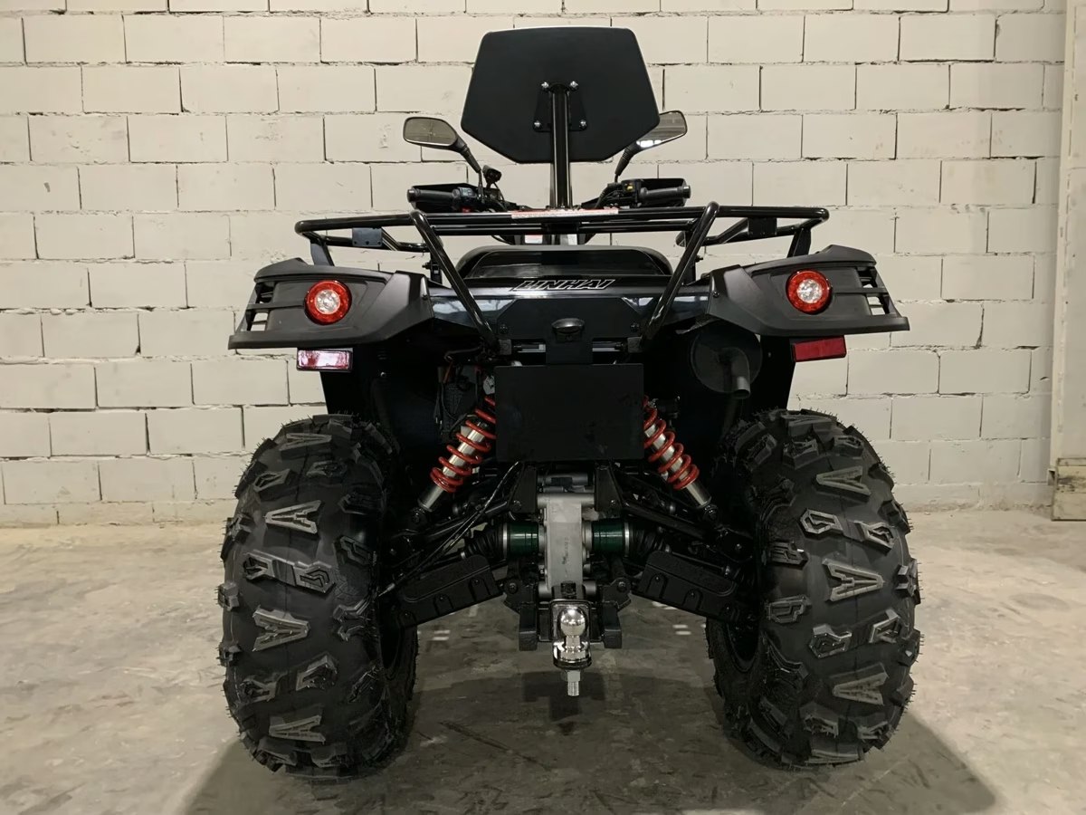 MMZ 5H 400cc фото 3